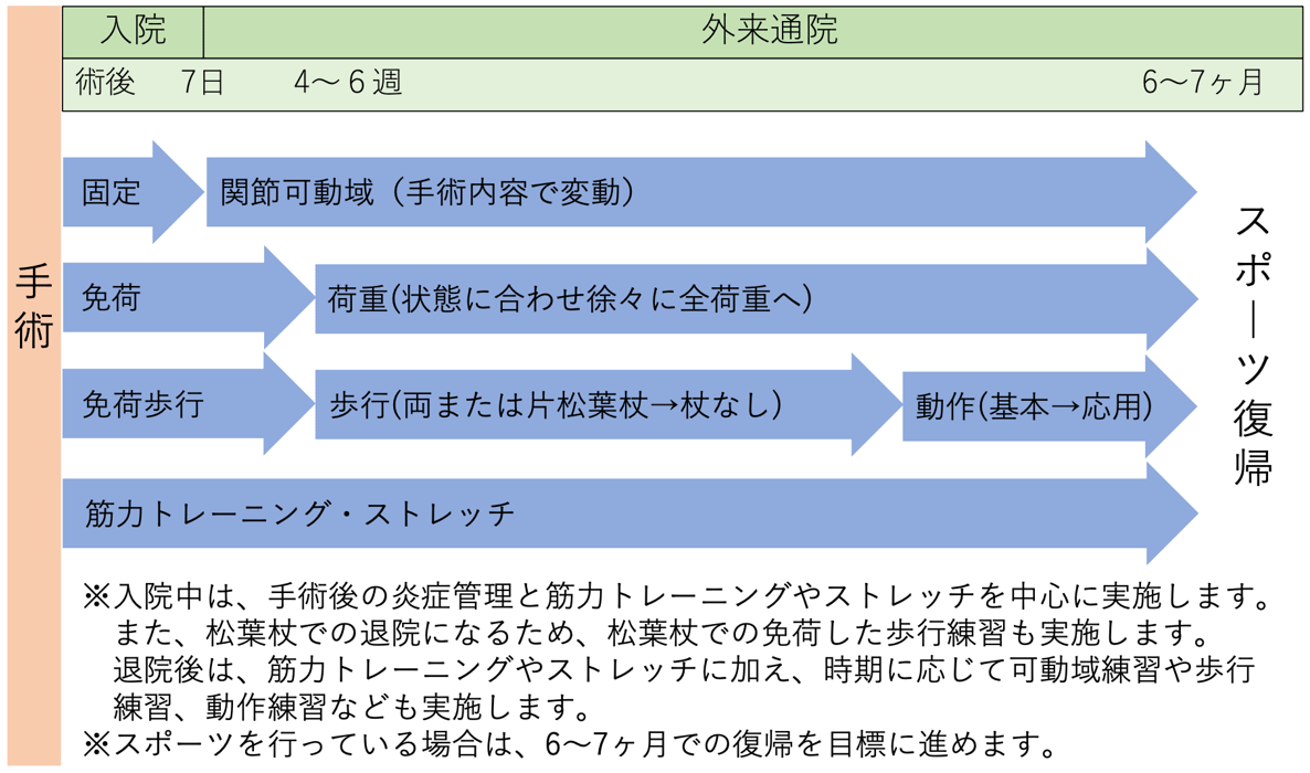 図5 手術後のリハビリテーションの流れの一例